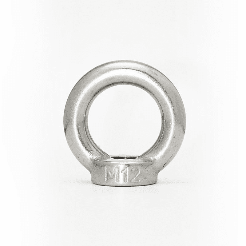 DIN582 Eye Nuts 304/316 Stainless | Lifting Ring Nuts - HighFasteners